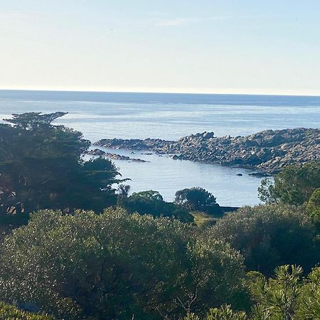 Maison De Pecheur Superbe Vue Mer, Grand Jardin Cadaqués Kültér fotó